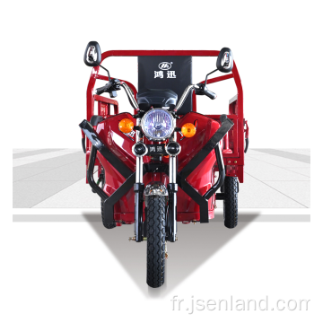 Tricycle électrique à bas prix 500W à vendre